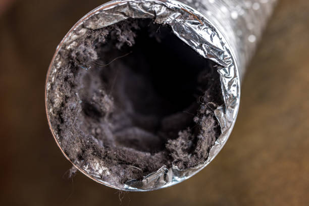 Best Best Air Duct Cleaning Company  in Homer, LA