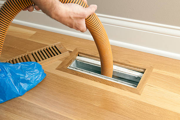 Best Professional Duct Cleaning Services  in Homer, LA